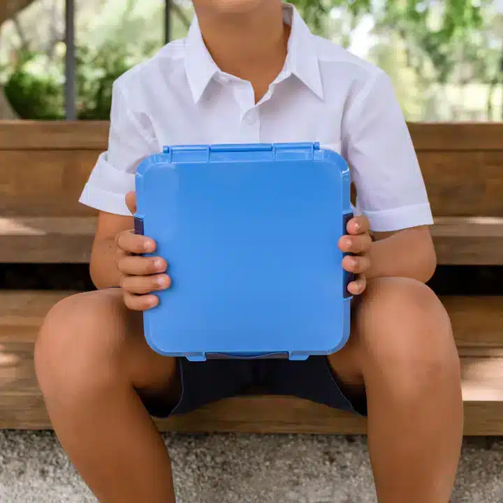 Little Lunch Box - קופסת בנטו מחולקת 3+ תאים - Blueberry